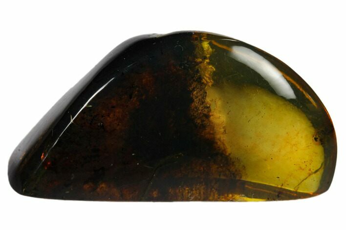 Polished Chiapas Amber ( g) - Mexico #114979